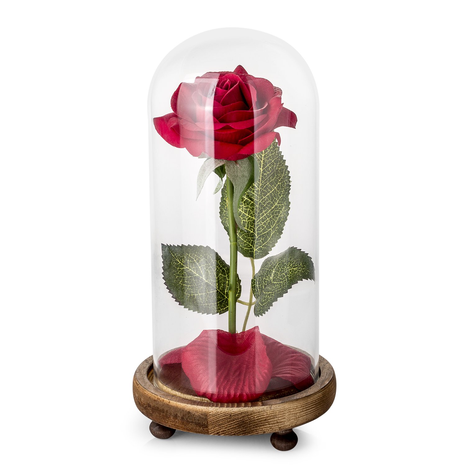 Beauty And The Beast Rose Kit, Red Silk Rose And Led - Rose Beauty And The Beast , HD Wallpaper & Backgrounds