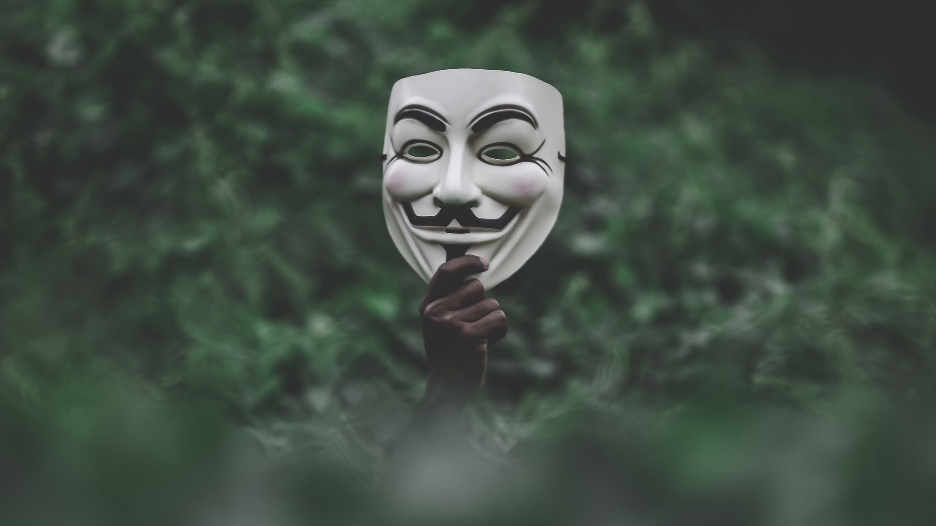 Wallpaper Mask, Hand, Anonymous, Grass - Anonymous Mask , HD Wallpaper & Backgrounds