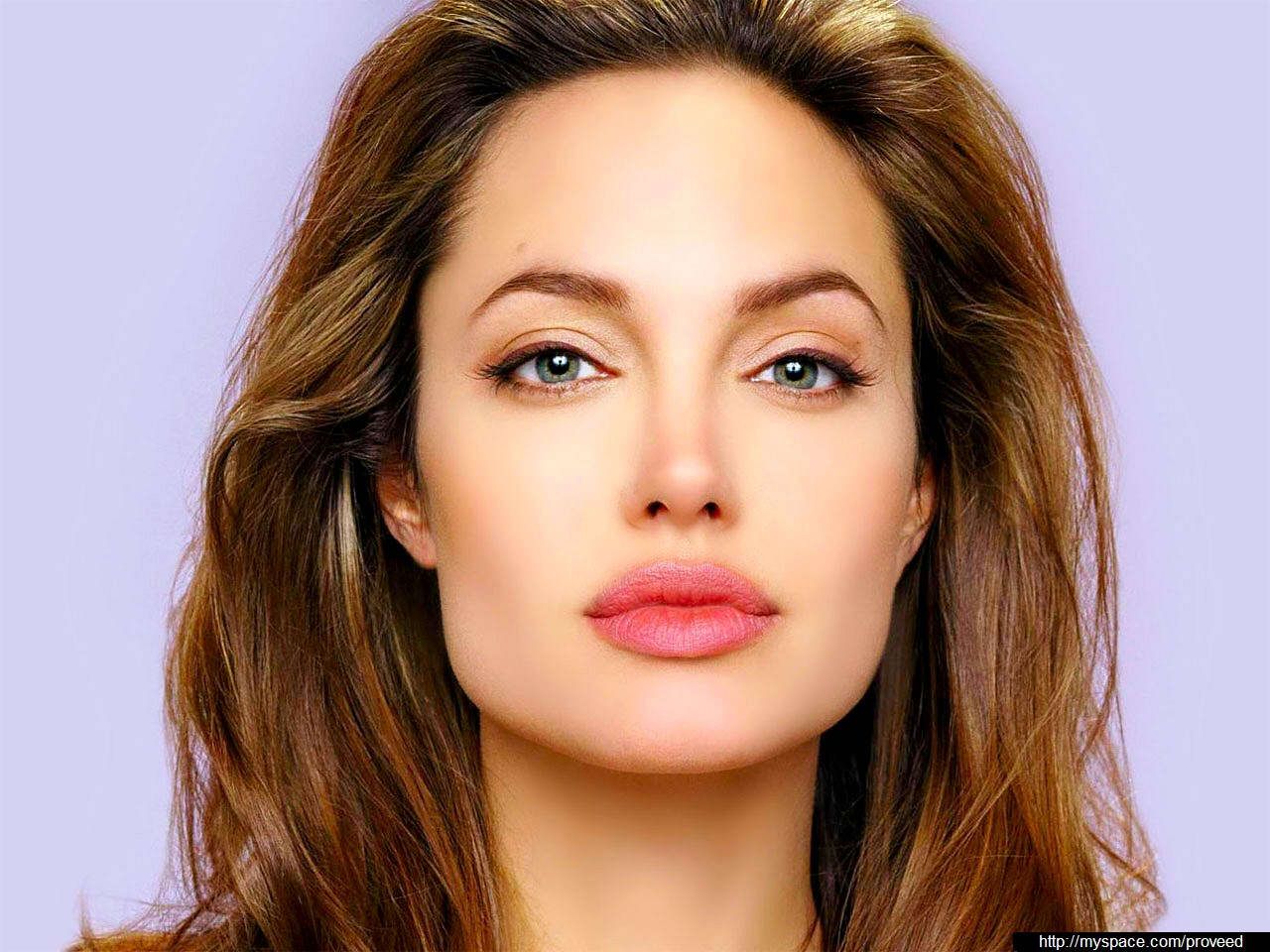 Download Free Celebrity Wallpapers - Angelina Jolie , HD Wallpaper & Backgrounds