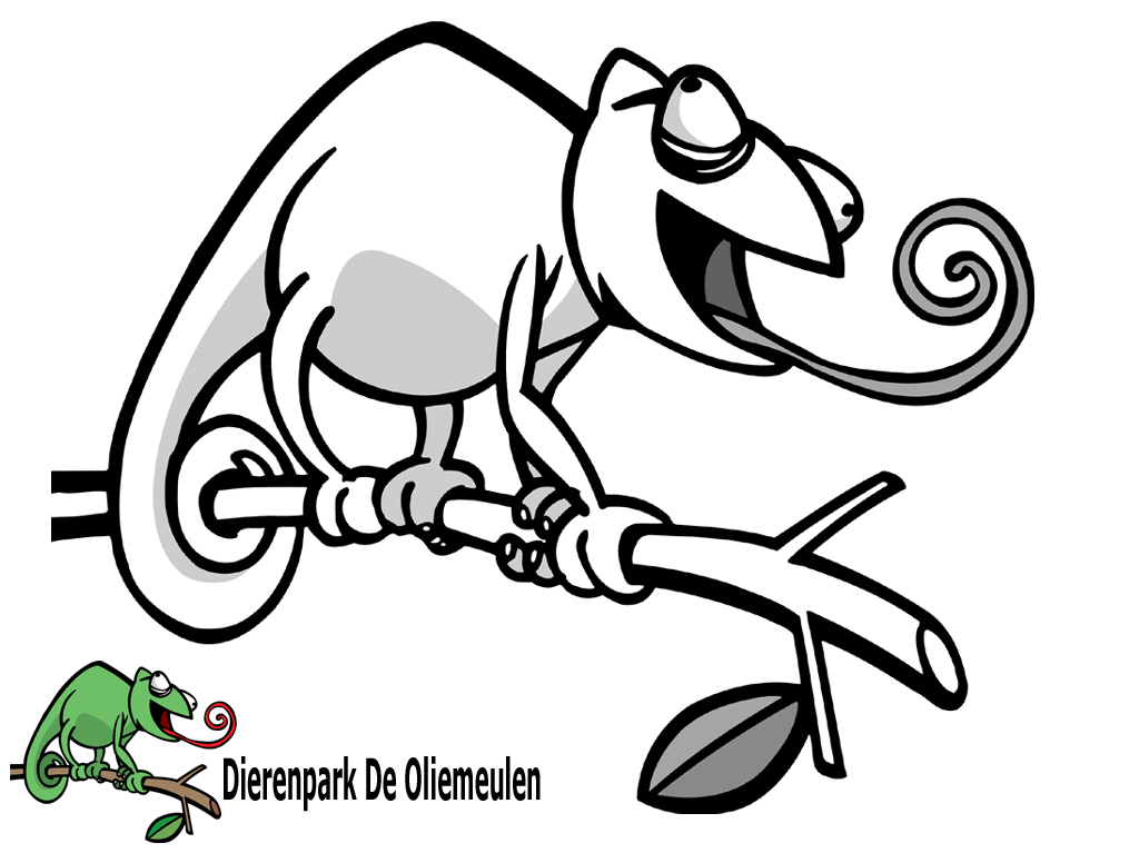 Dieren Wallpaper Logo 1024 - Zoo De Oliemeulen , HD Wallpaper & Backgrounds