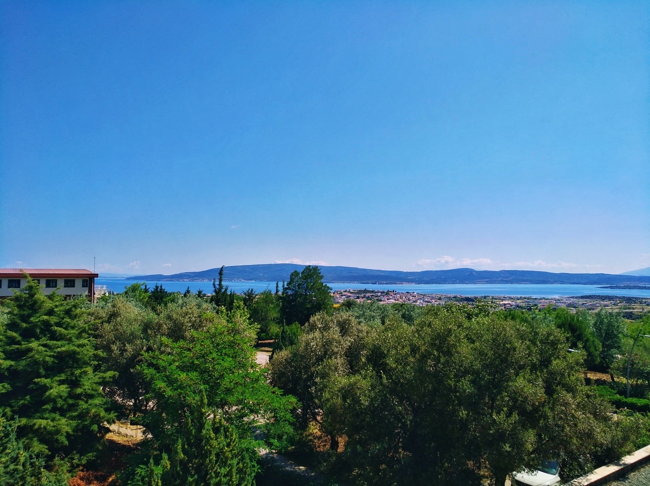 Izmir Manzara Photography Wallpaper Photooftheday Photo Tree 2220054 Hd Wallpaper Backgrounds Download