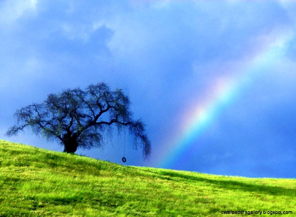 View Original Size - Rainbow Hd , HD Wallpaper & Backgrounds