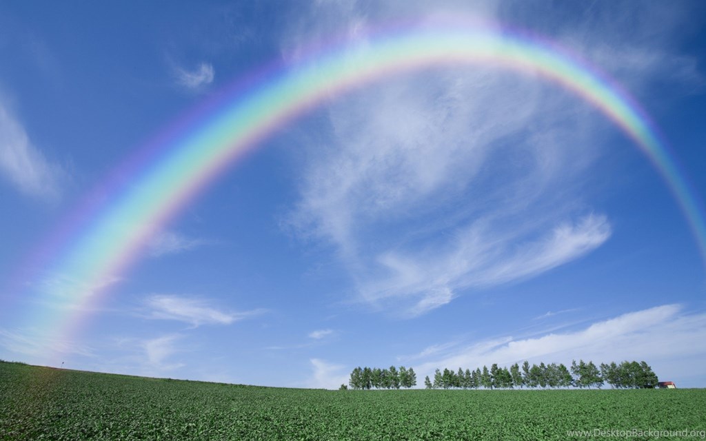 Rainbow, Sky, Clouds, Landscape, Field, Trees, Nature - Rainbow Sky Background Hd , HD Wallpaper & Backgrounds