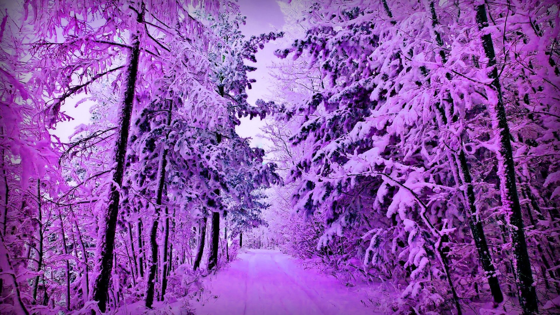 Horror Snow Wallpaper - Purple Snowy Palm Trees , HD Wallpaper & Backgrounds