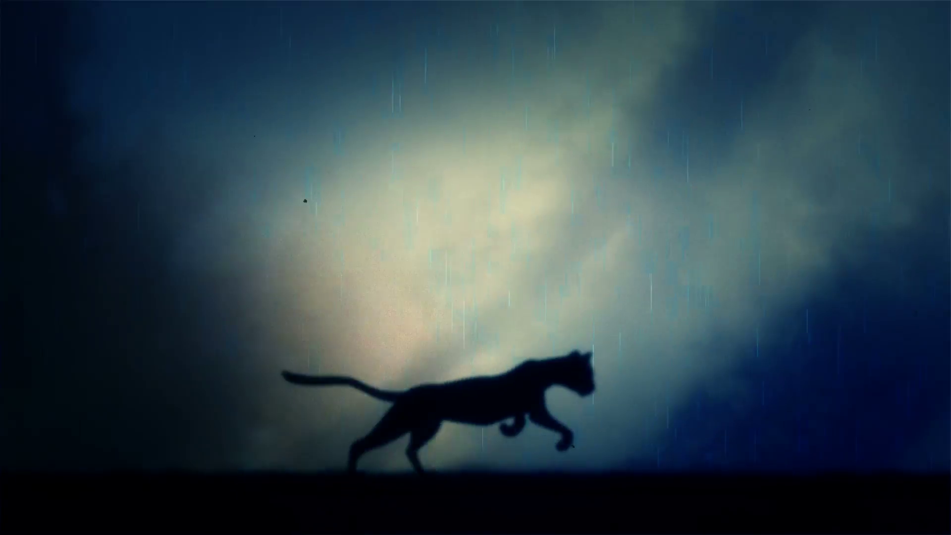 A Black Panther Runs In Loop Under A Rain And Lightning - Puma , HD Wallpaper & Backgrounds
