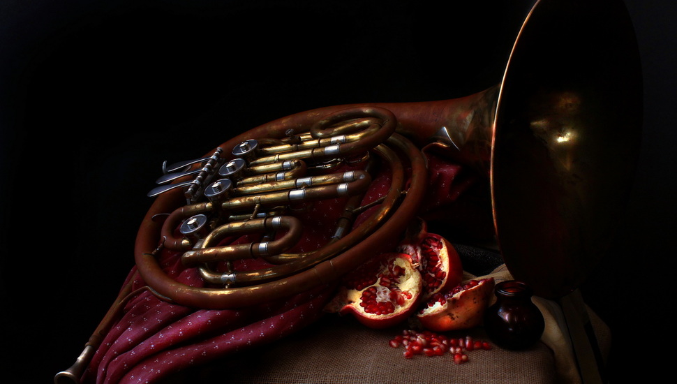 Pomegranates, Music, French Horn Desktop Background - French Horn , HD Wallpaper & Backgrounds