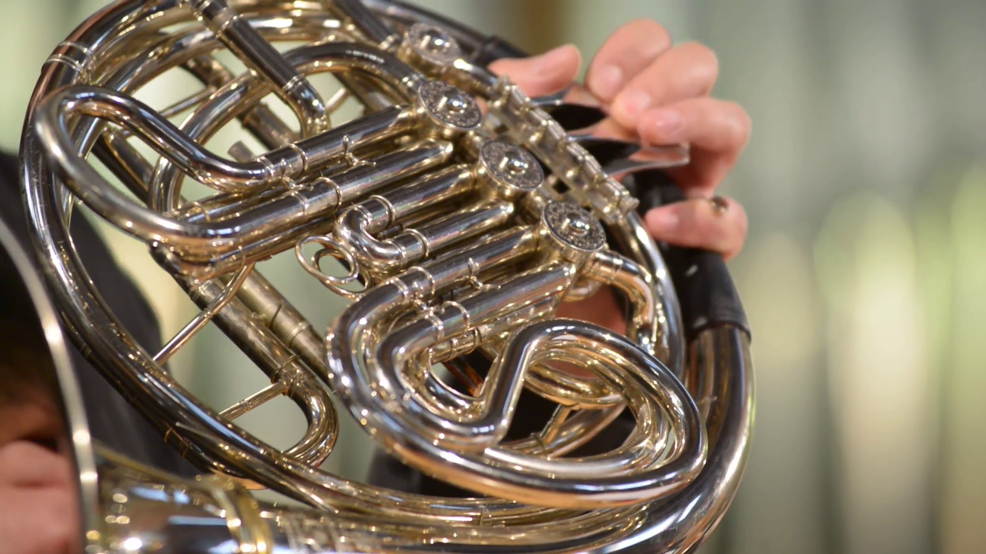 Horn Plays The French Horn, Close Up, Blurred Defocused - French Horn , HD Wallpaper & Backgrounds