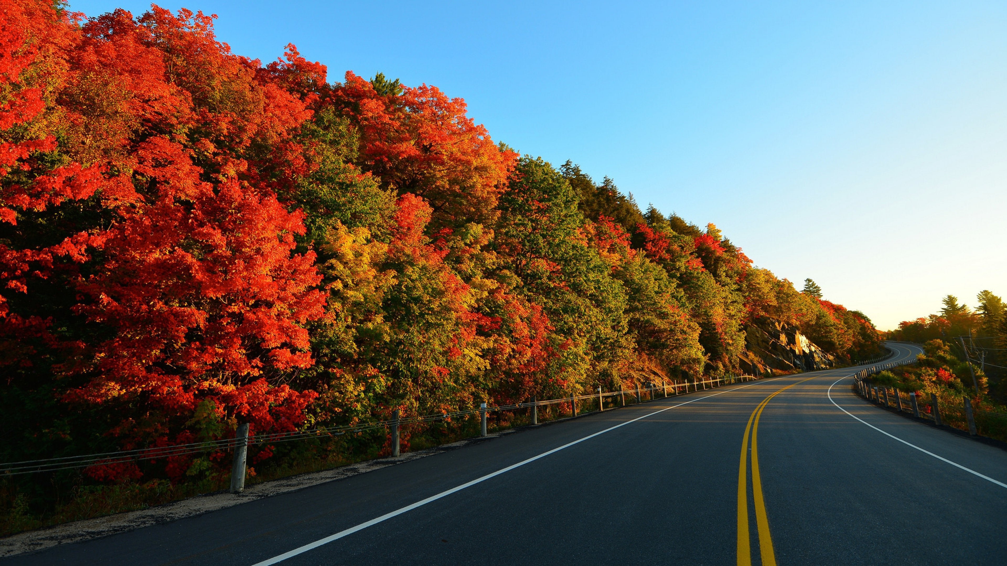 Road With Autumn Trees , HD Wallpaper & Backgrounds