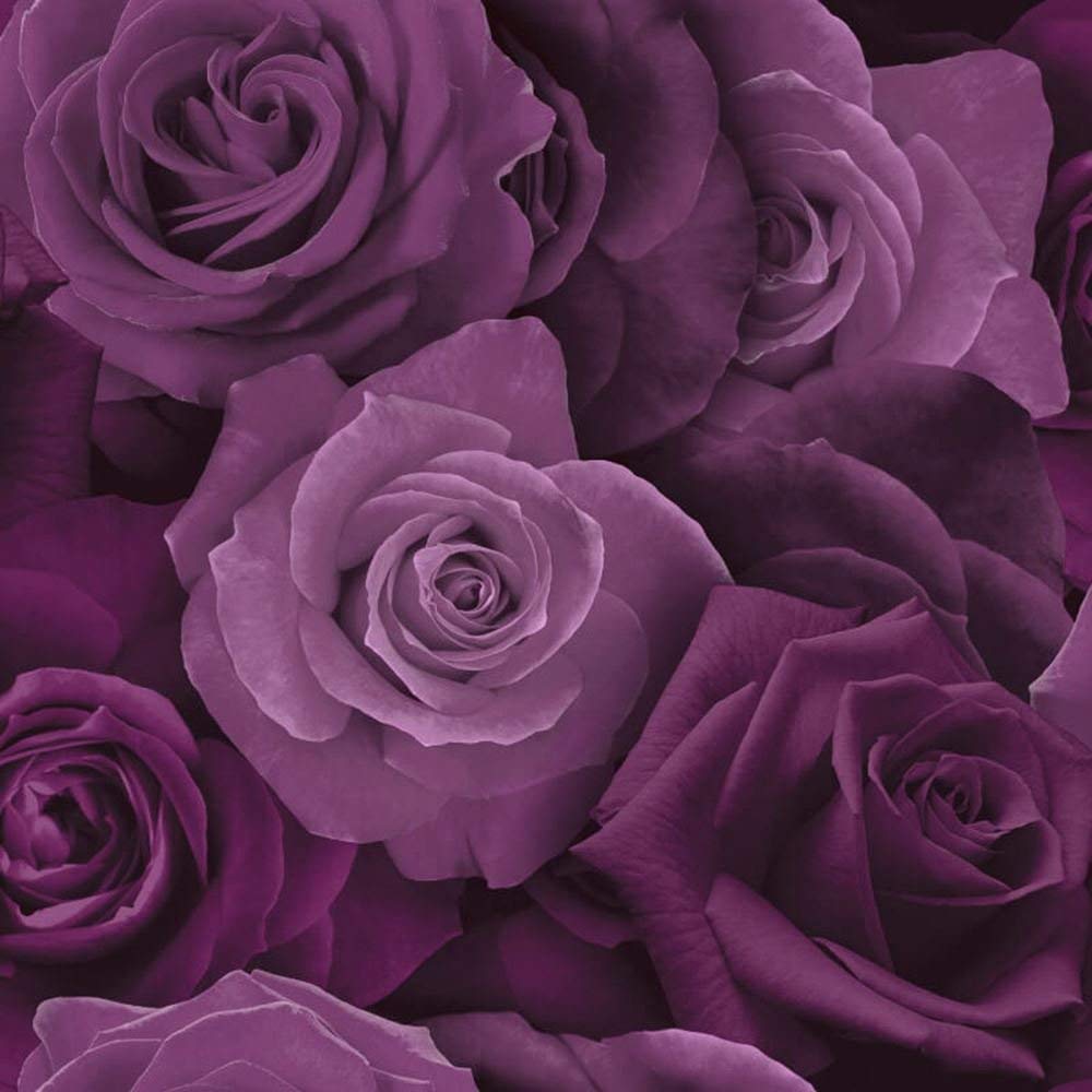 Rose Wallpaper Flowers , HD Wallpaper & Backgrounds