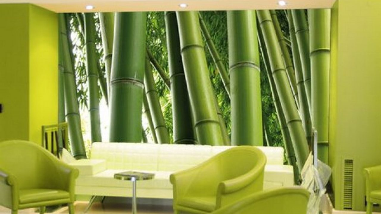 Gomo De Bambu , HD Wallpaper & Backgrounds