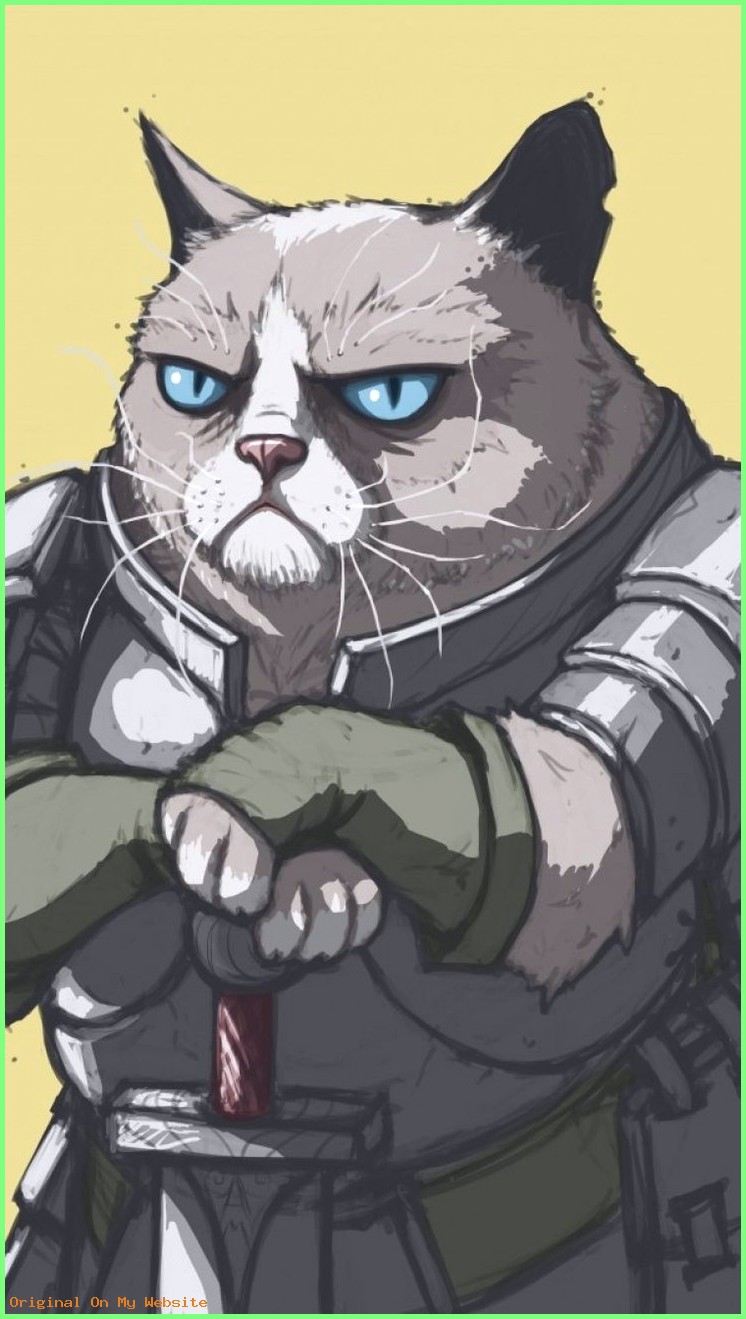Grumpy Cat Warrior , HD Wallpaper & Backgrounds