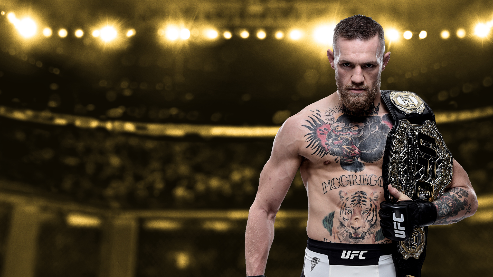 Ufc Store , HD Wallpaper & Backgrounds