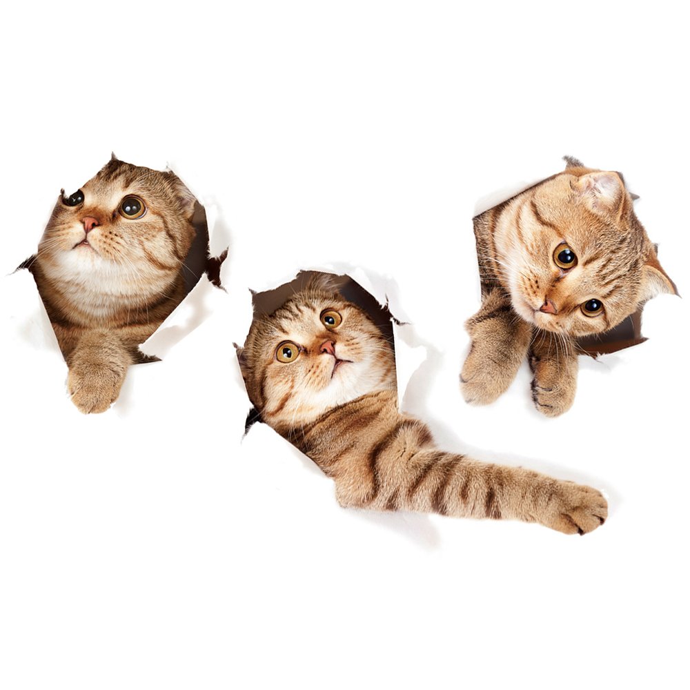 Wall Sticker Cat , HD Wallpaper & Backgrounds