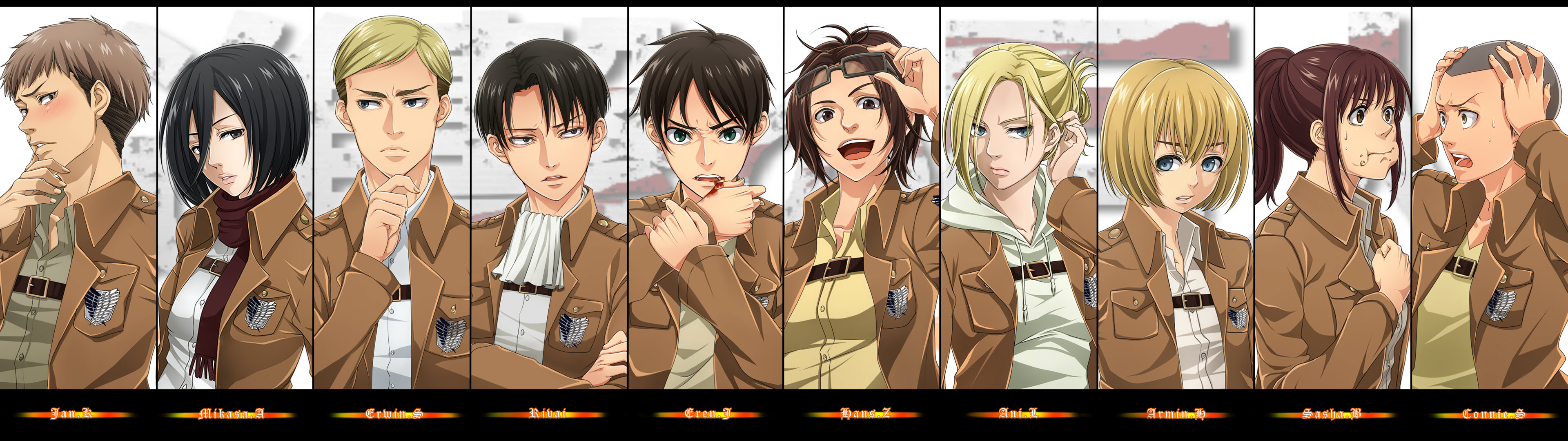 Attack On Titan Main Characters , HD Wallpaper & Backgrounds