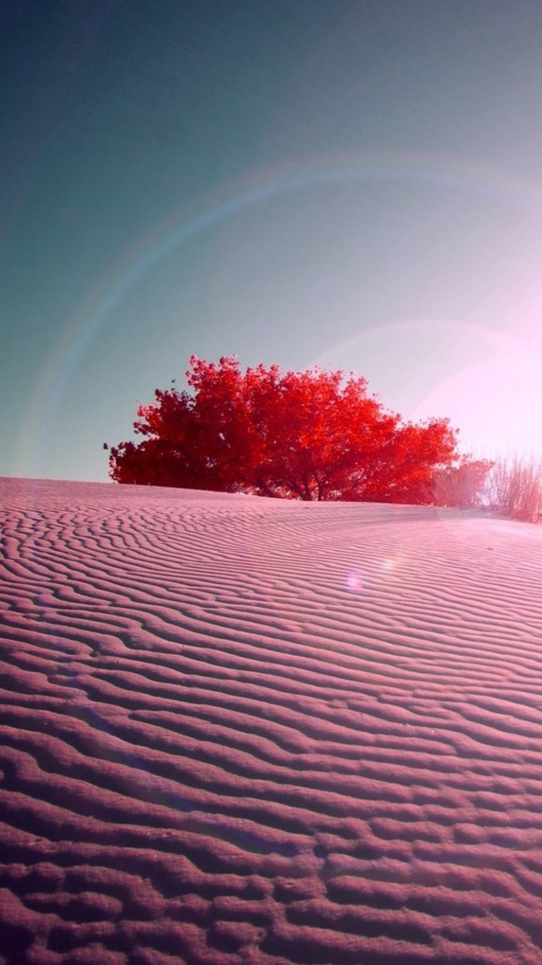 Colorful Deserts , HD Wallpaper & Backgrounds