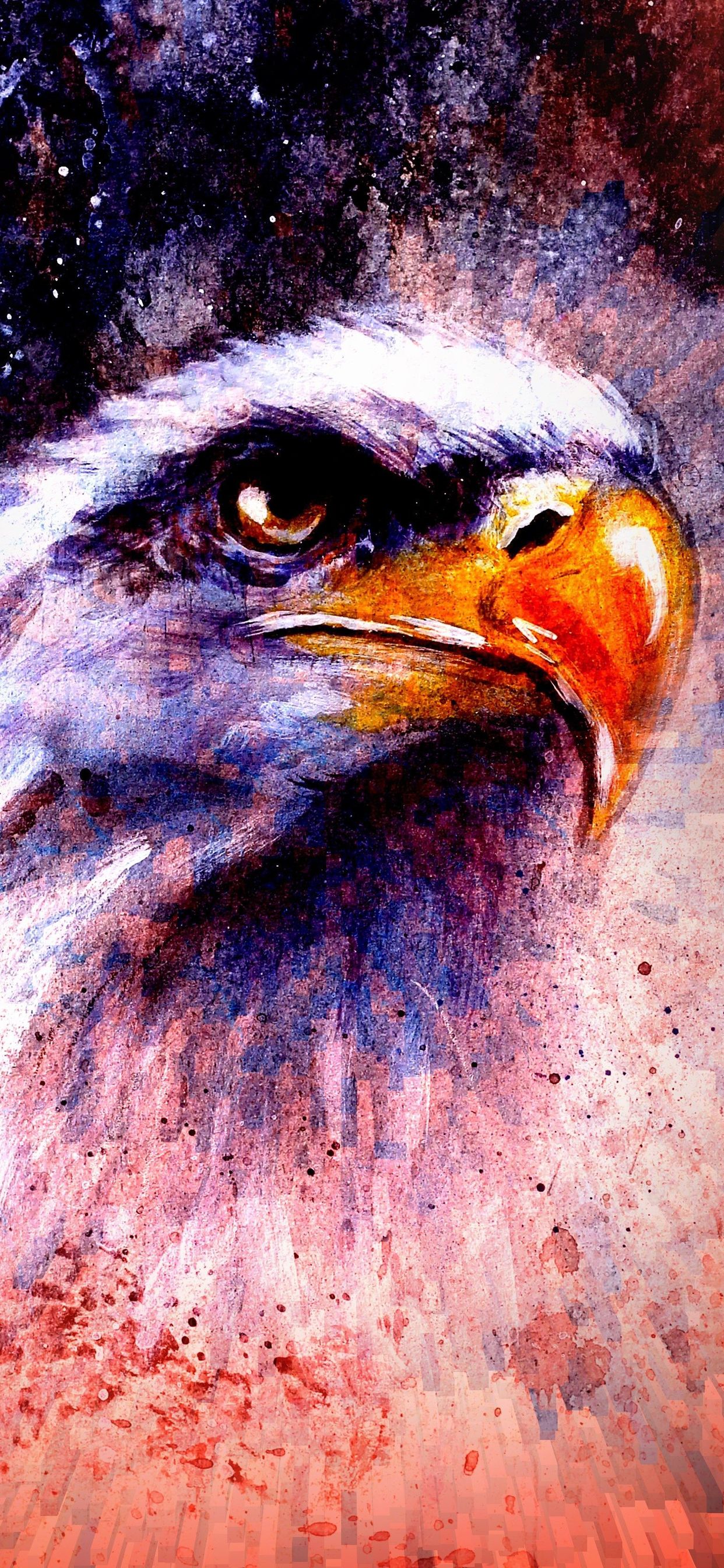 Auburn War Eagle Painting , HD Wallpaper & Backgrounds