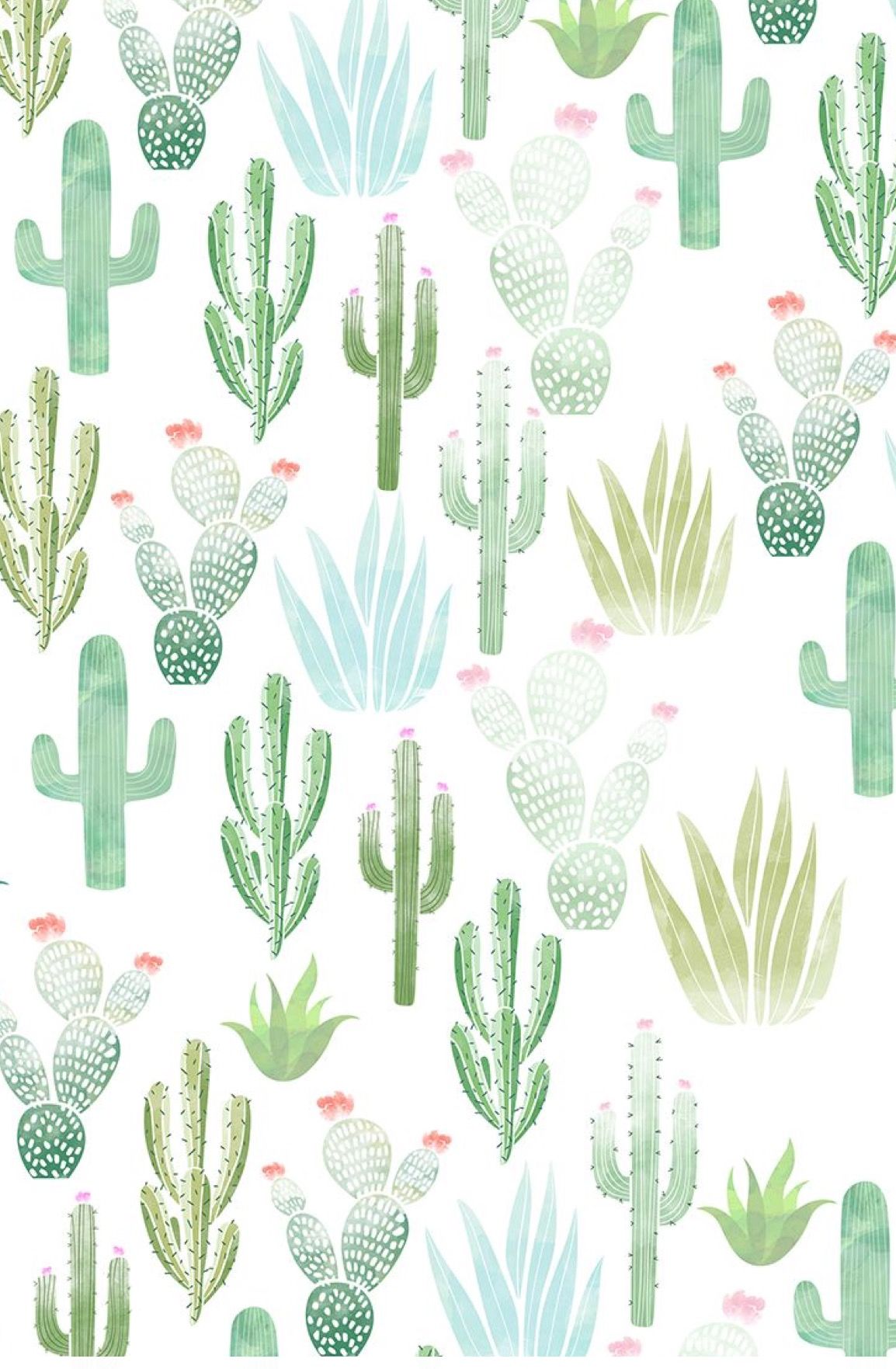 Cute Cactus Wallpaper Iphone , HD Wallpaper & Backgrounds