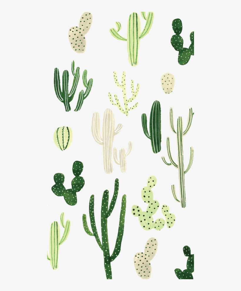 Cactus Wallpapers For Phones , HD Wallpaper & Backgrounds