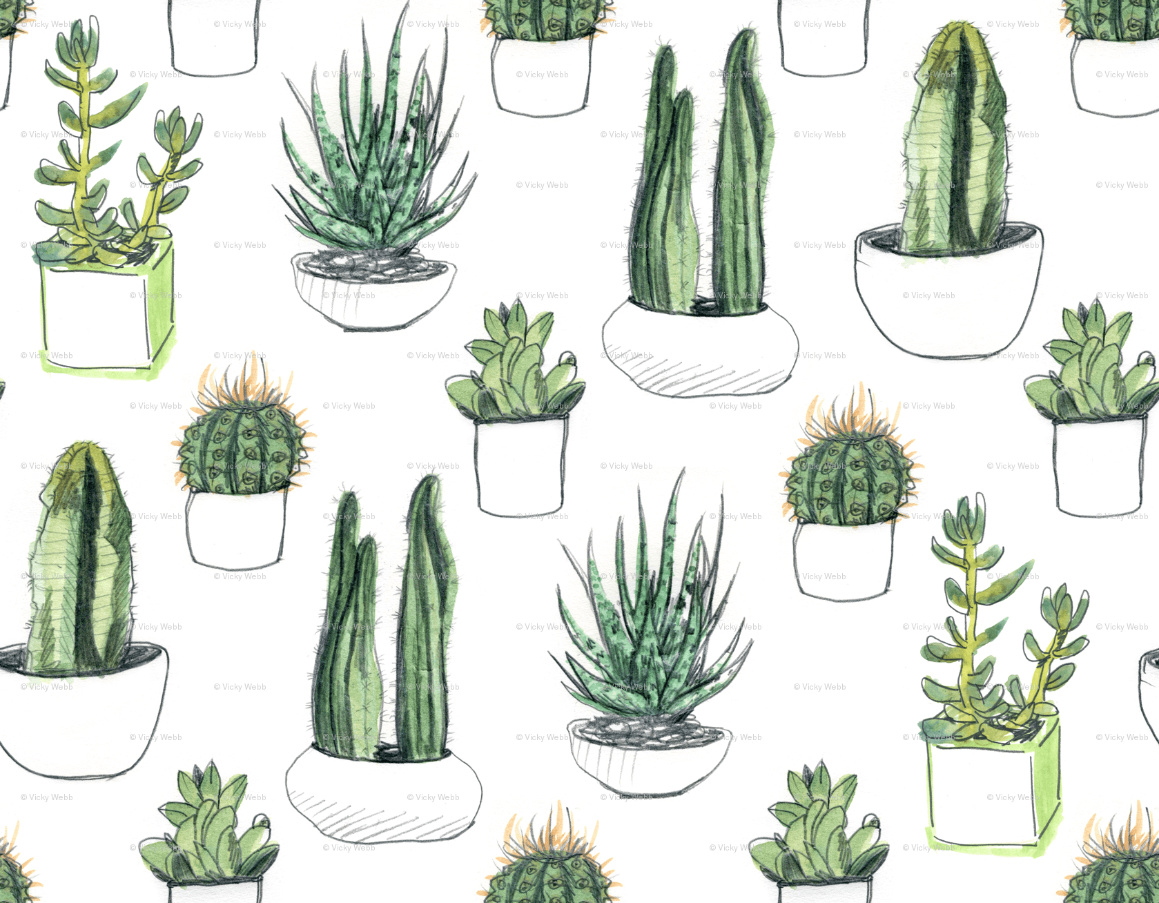Watercolour Cacti And Succulent , HD Wallpaper & Backgrounds