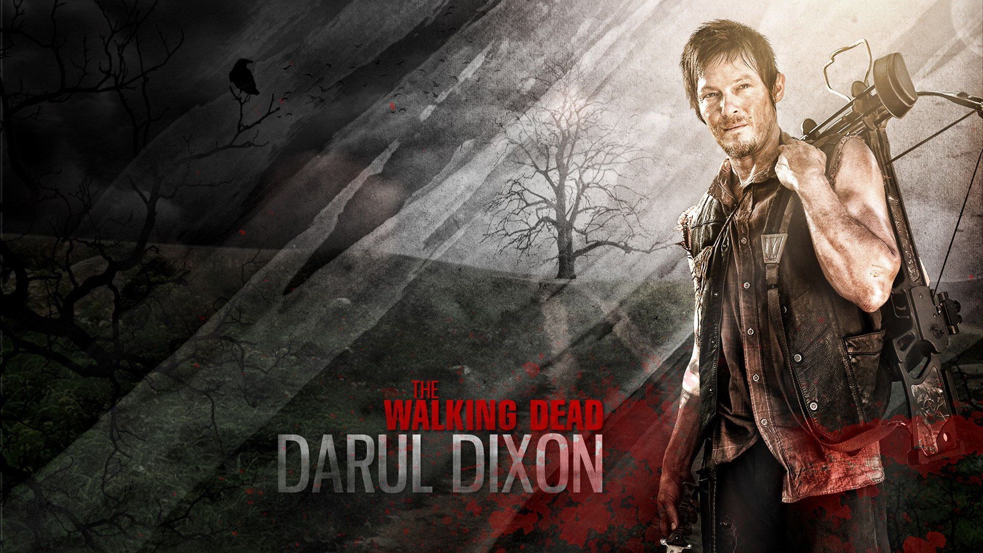 Daryl Dixon Wallpaper Hd , HD Wallpaper & Backgrounds