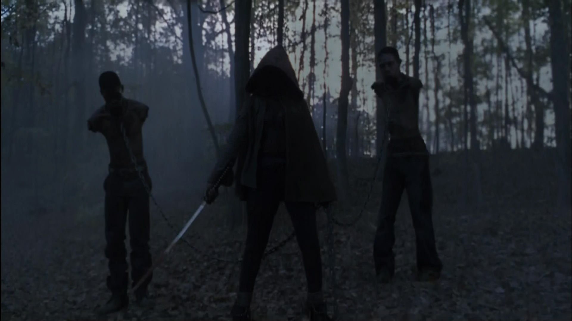 Michonne With Walkers Gif , HD Wallpaper & Backgrounds
