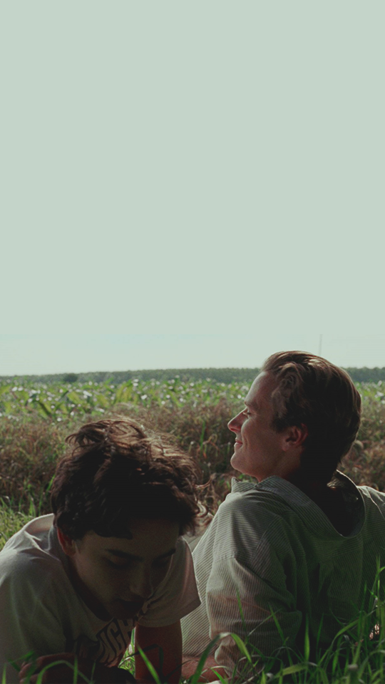 Call Me By Your Name Stills , HD Wallpaper & Backgrounds