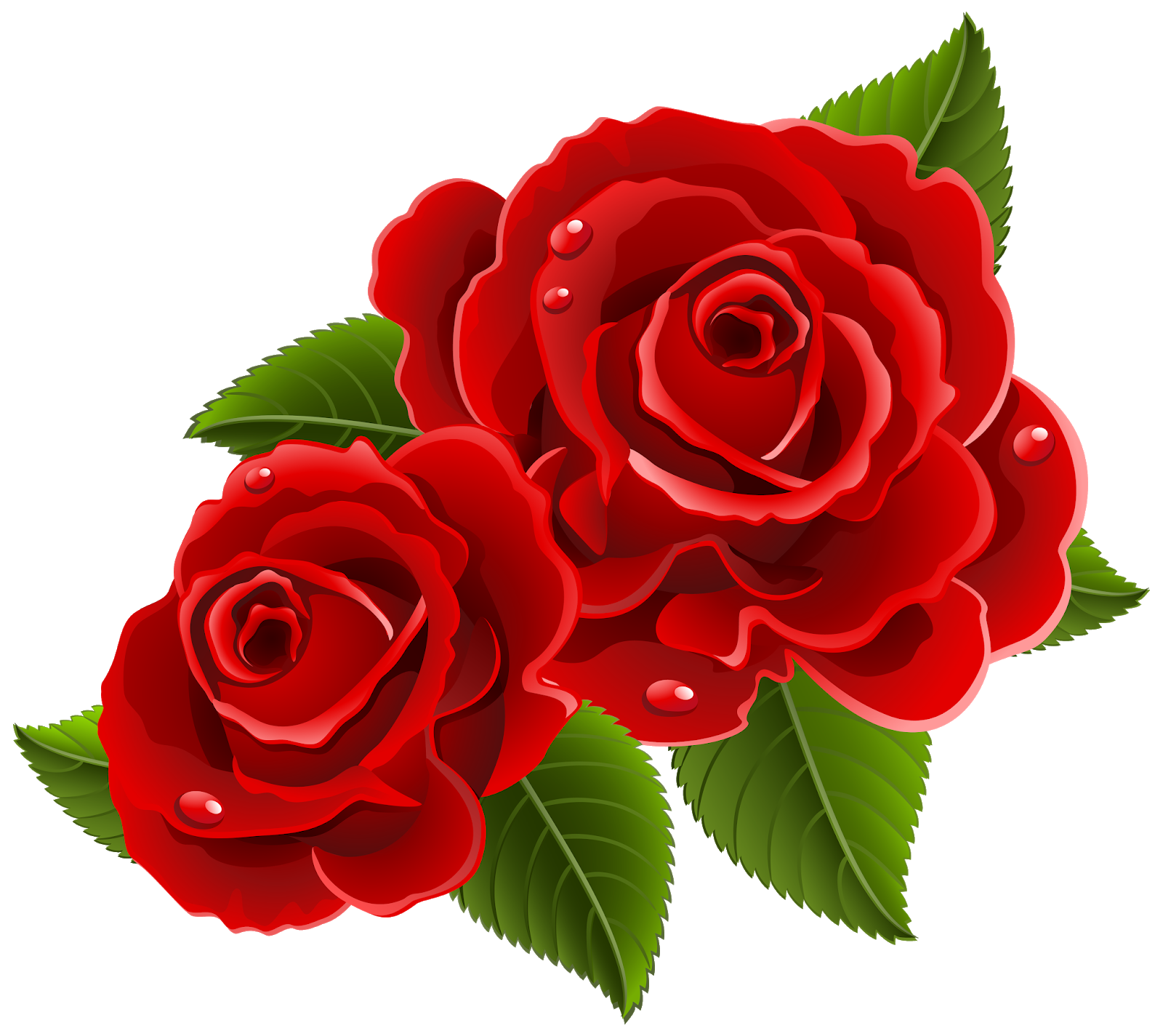 Beautiful Red Rose Pics Download , HD Wallpaper & Backgrounds