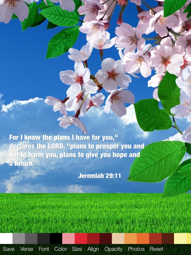 Spring Bible Verse , HD Wallpaper & Backgrounds