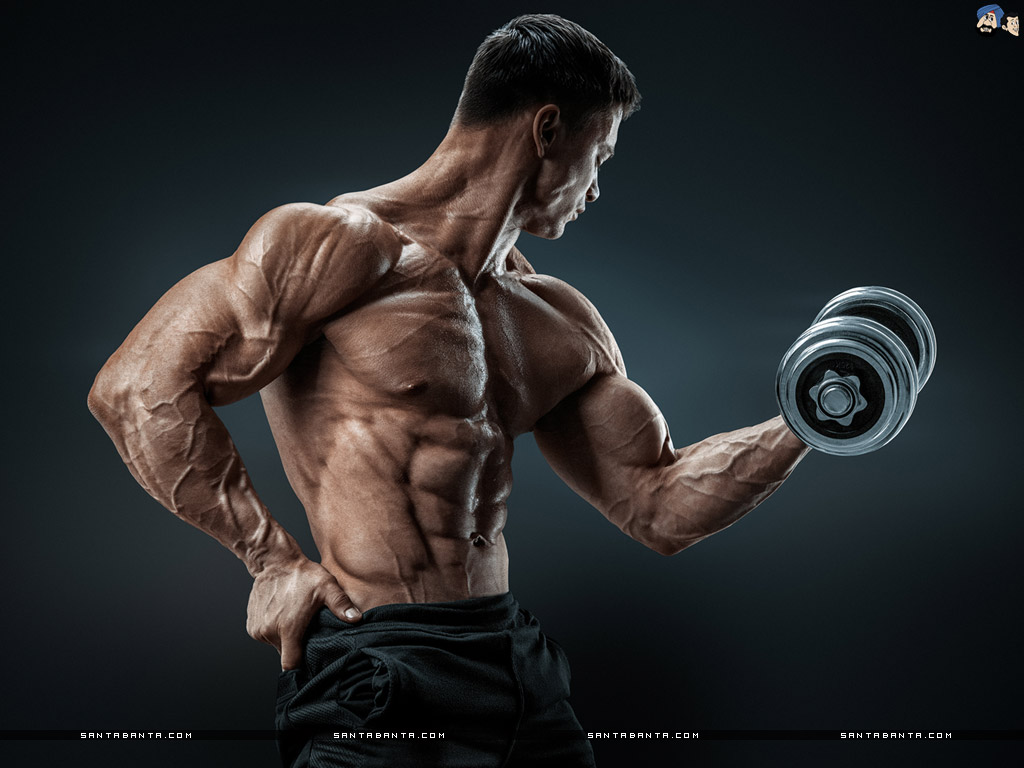 Rétention D Eau Muscle , HD Wallpaper & Backgrounds