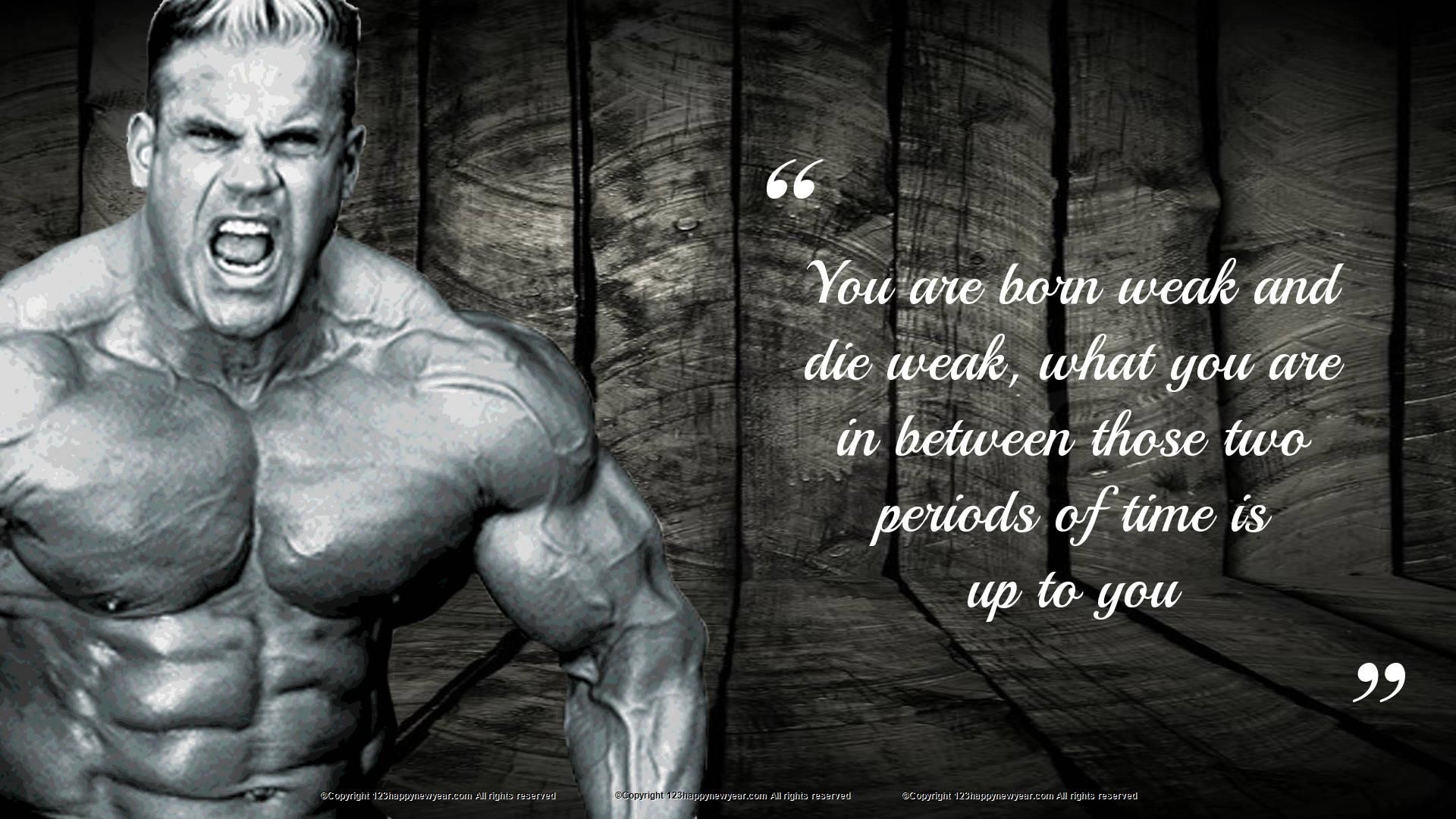 Gym Bodybuilding Full Hd Wallpapers 1080p , HD Wallpaper & Backgrounds