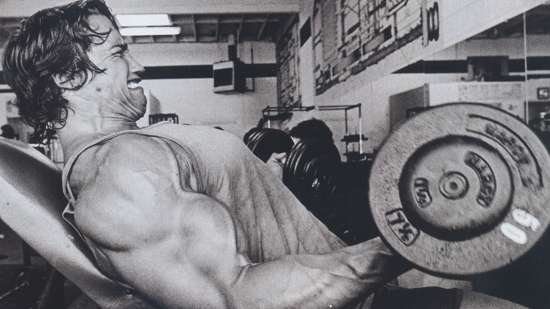 Arnold Schwarzenegger Body Building Hd , HD Wallpaper & Backgrounds