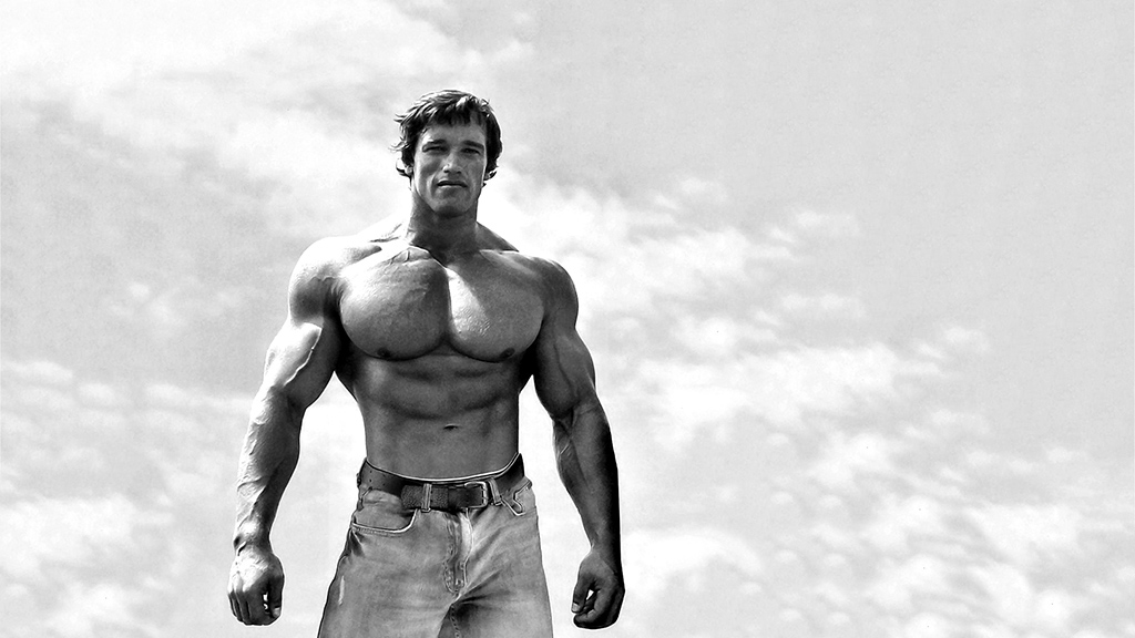 1080p Arnold Schwarzenegger Hd , HD Wallpaper & Backgrounds
