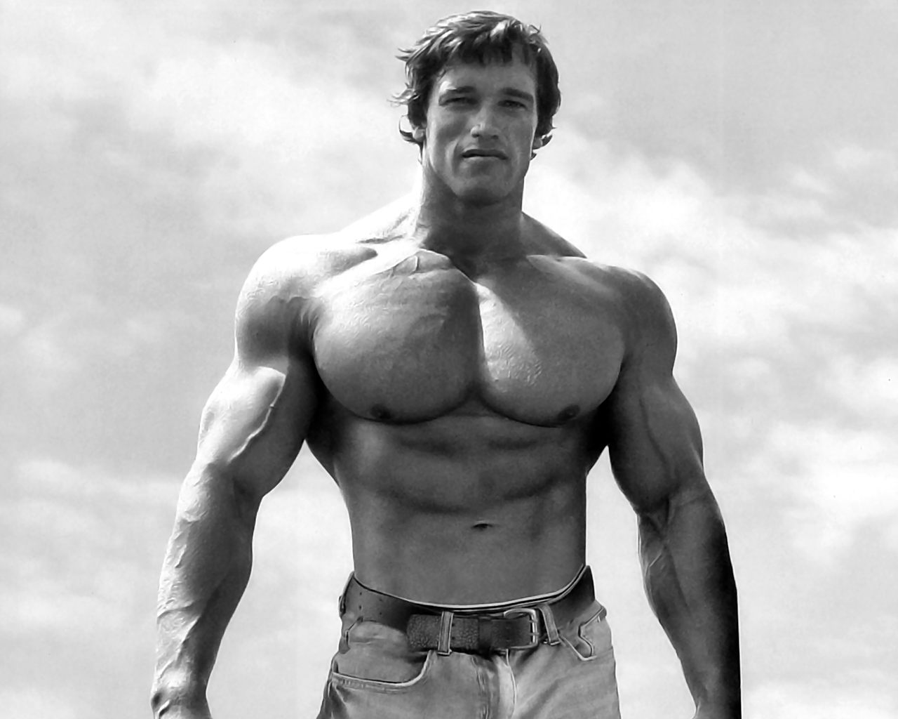 Arnold Schwarzenegger Bodybuilding Wallpapers Hd , HD Wallpaper & Backgrounds