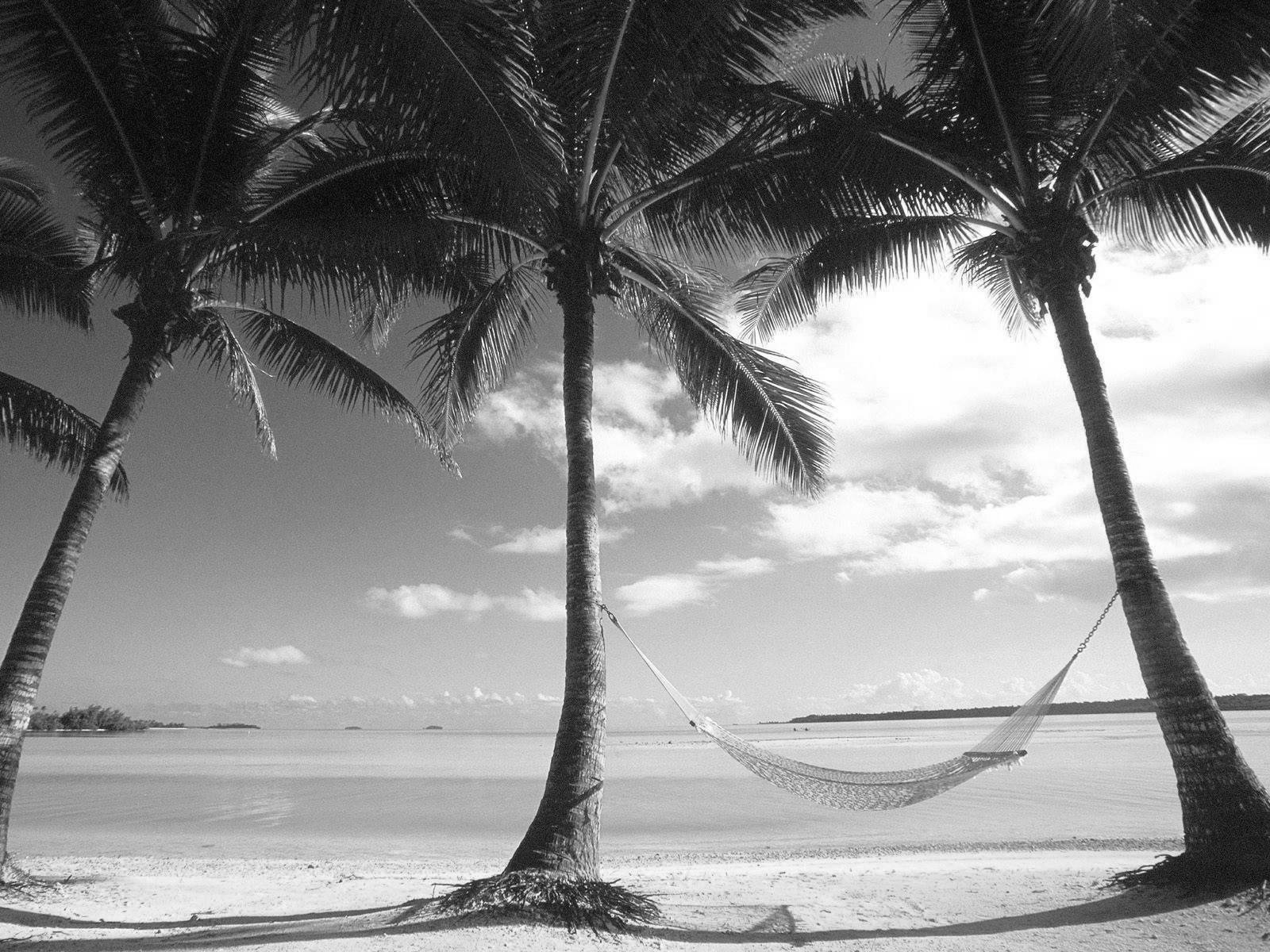 Black And White Photos Of The Beach , HD Wallpaper & Backgrounds