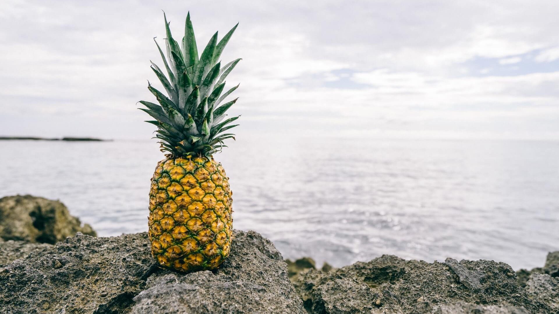 Advice From A Pineapple , HD Wallpaper & Backgrounds