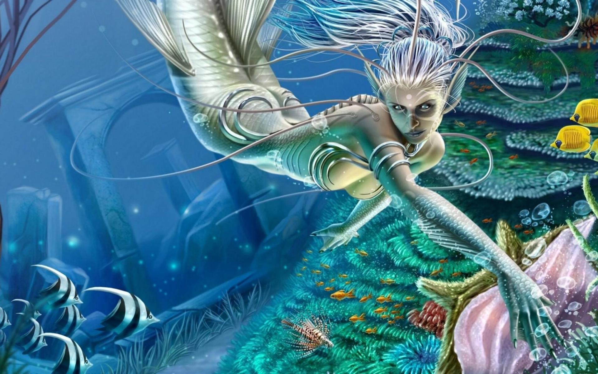 Siren Mermaid Anime , HD Wallpaper & Backgrounds