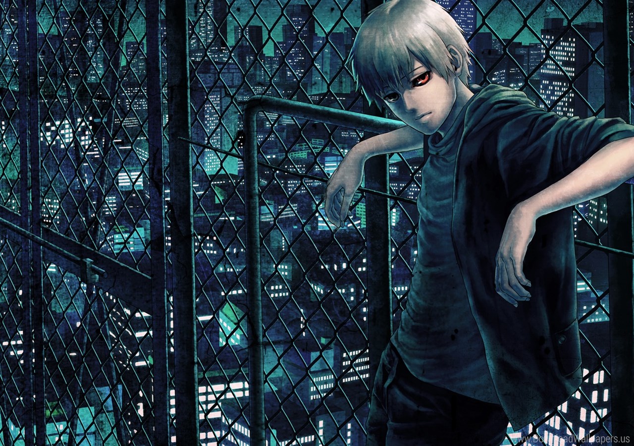 Ken Kaneki Tokyo Ghoul 4k , HD Wallpaper & Backgrounds
