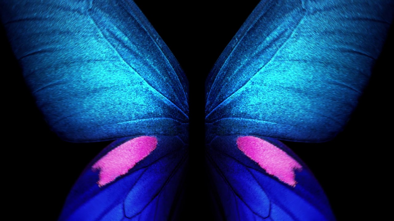 Samsung Butterfly , HD Wallpaper & Backgrounds