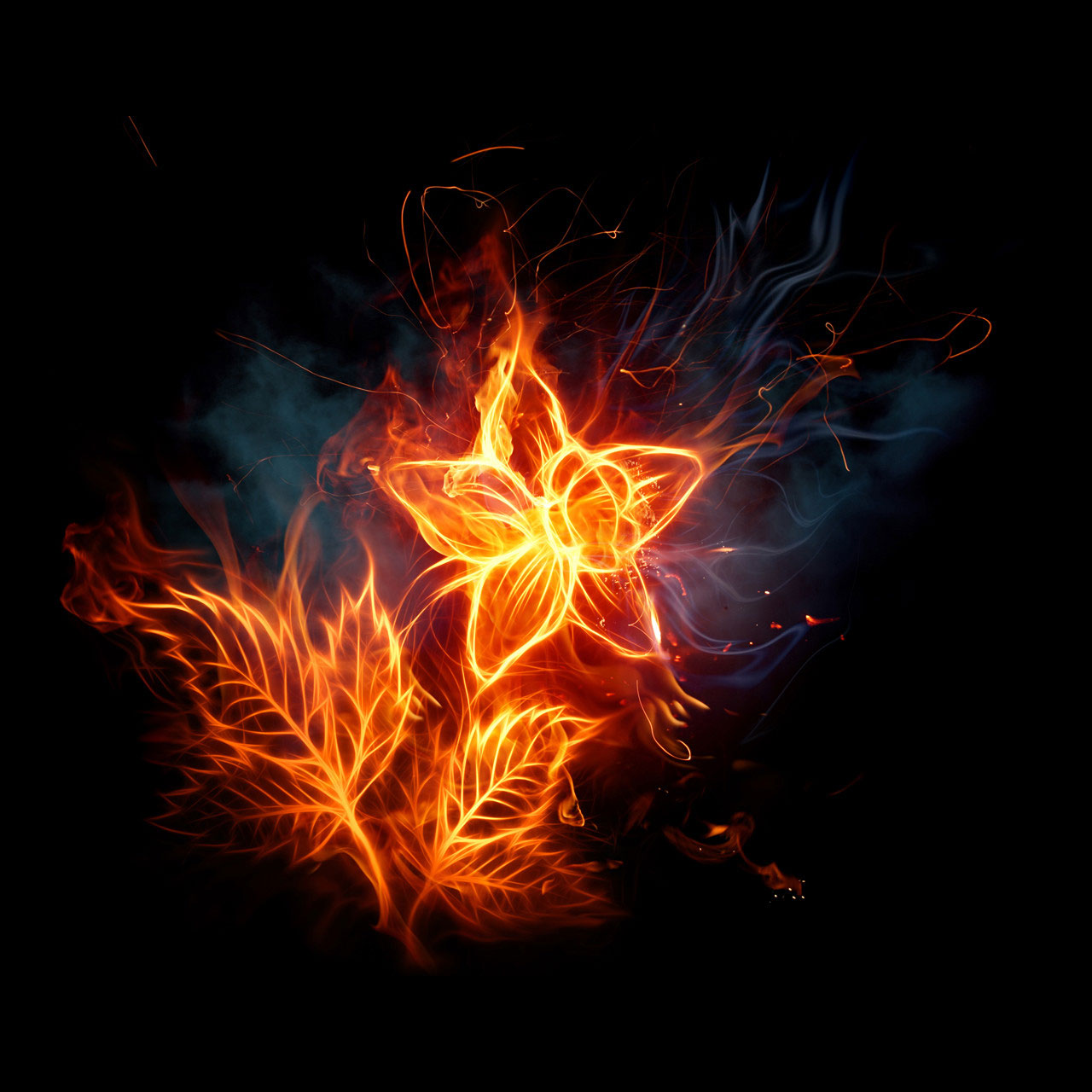 Amazing Pictures Of Fire , HD Wallpaper & Backgrounds