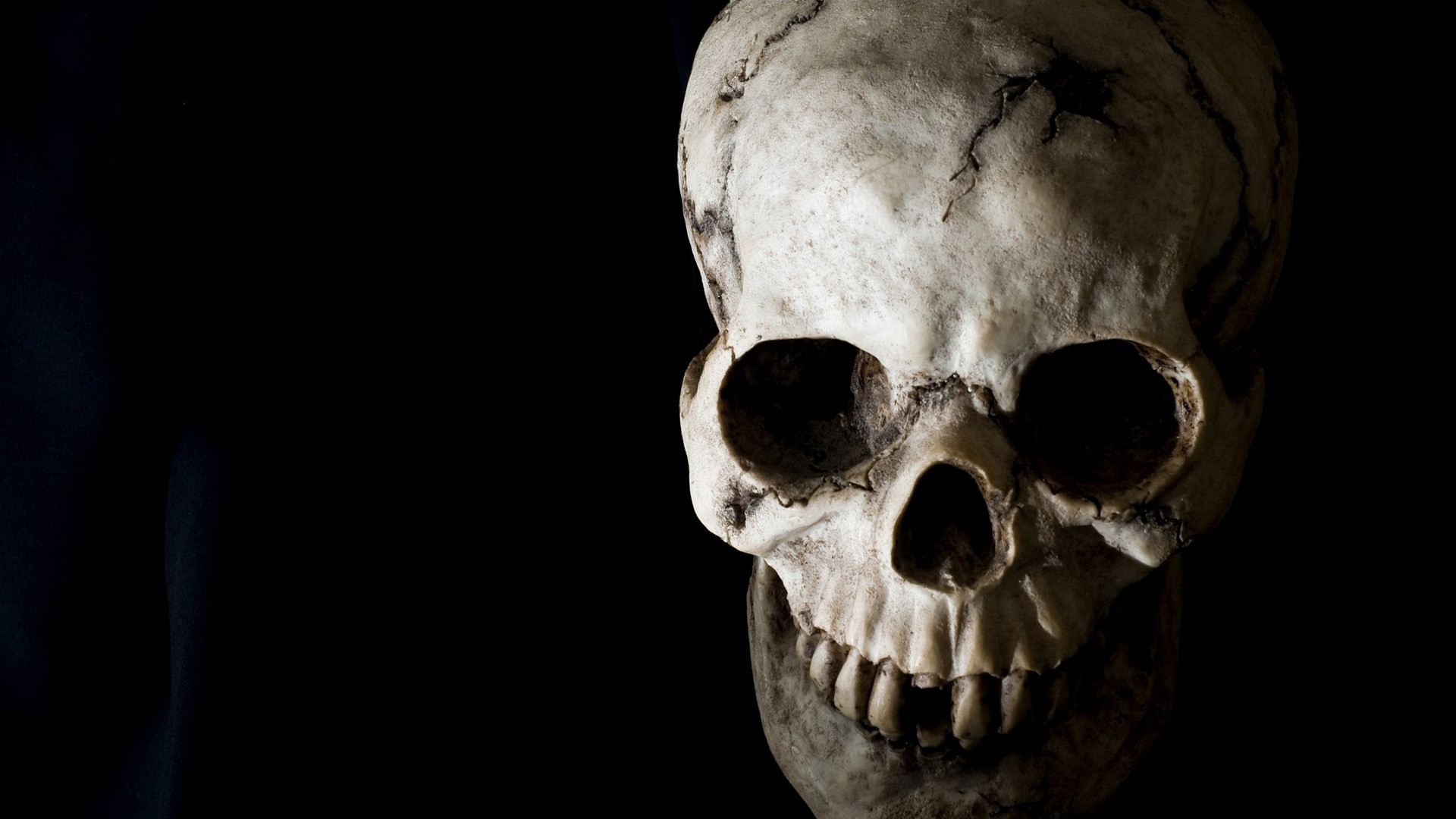 Skull On Black Background , HD Wallpaper & Backgrounds