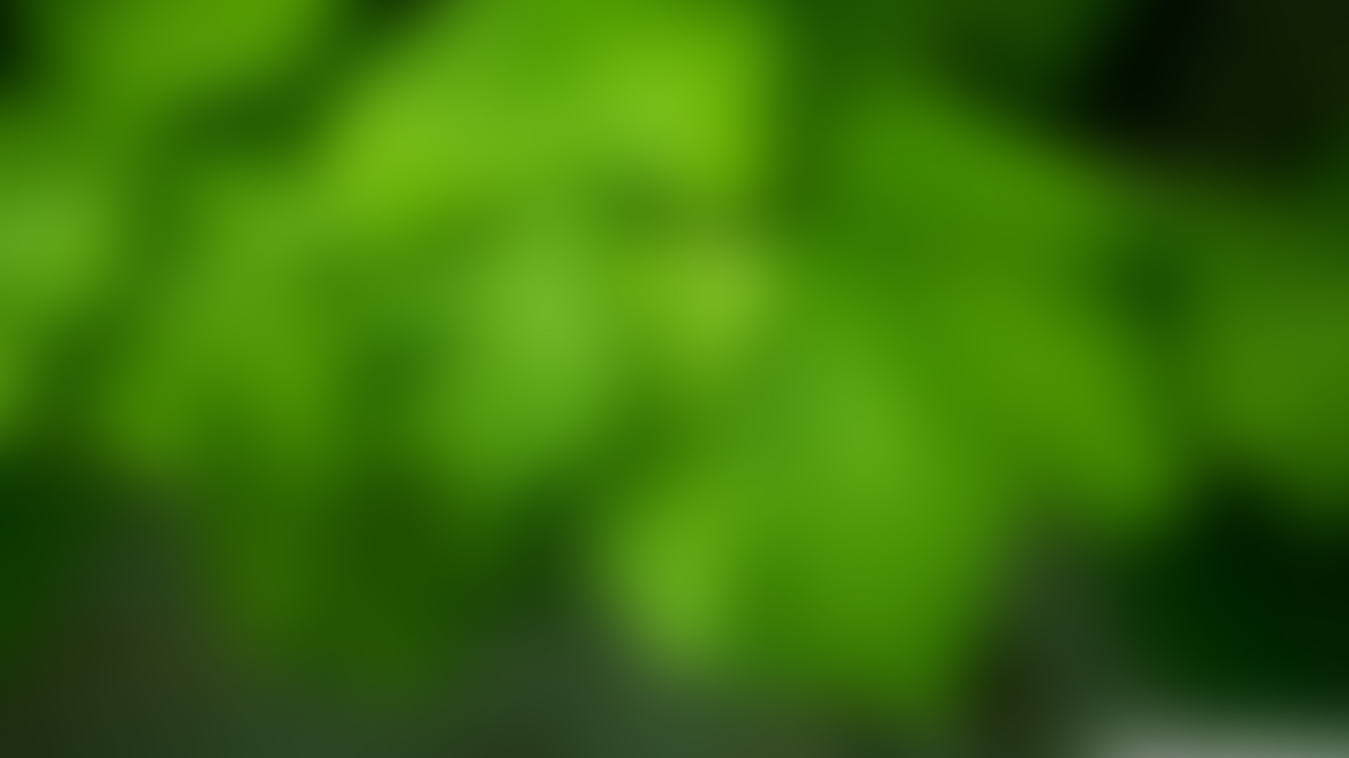 Green Blur , HD Wallpaper & Backgrounds