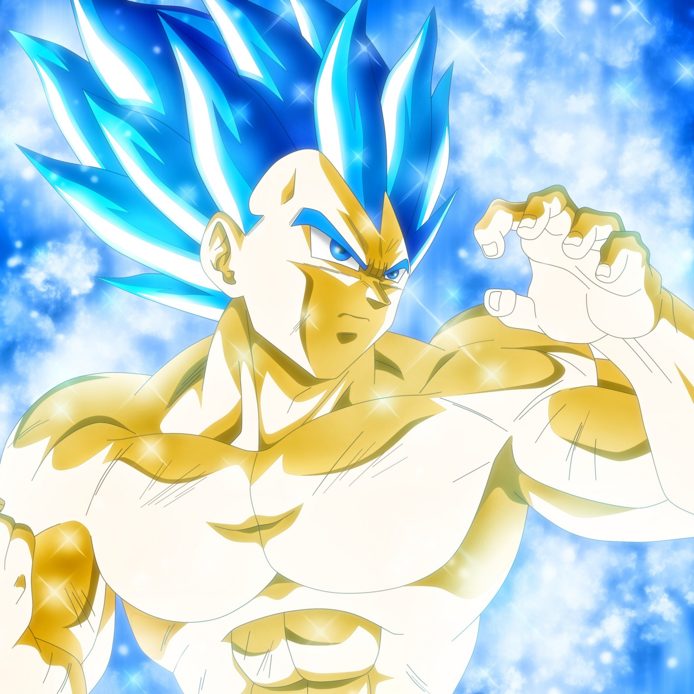 Vegeta Super Saiyan Blue Evolution , HD Wallpaper & Backgrounds