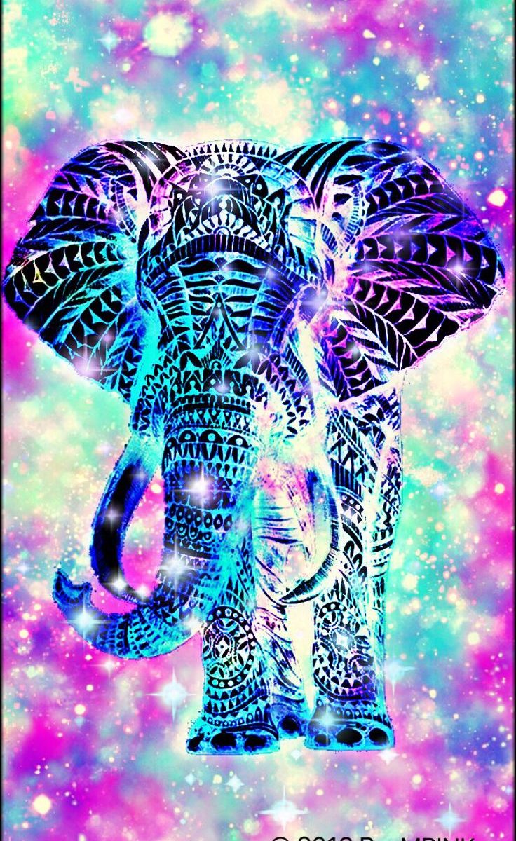 Cool Backgrounds Elephants , HD Wallpaper & Backgrounds