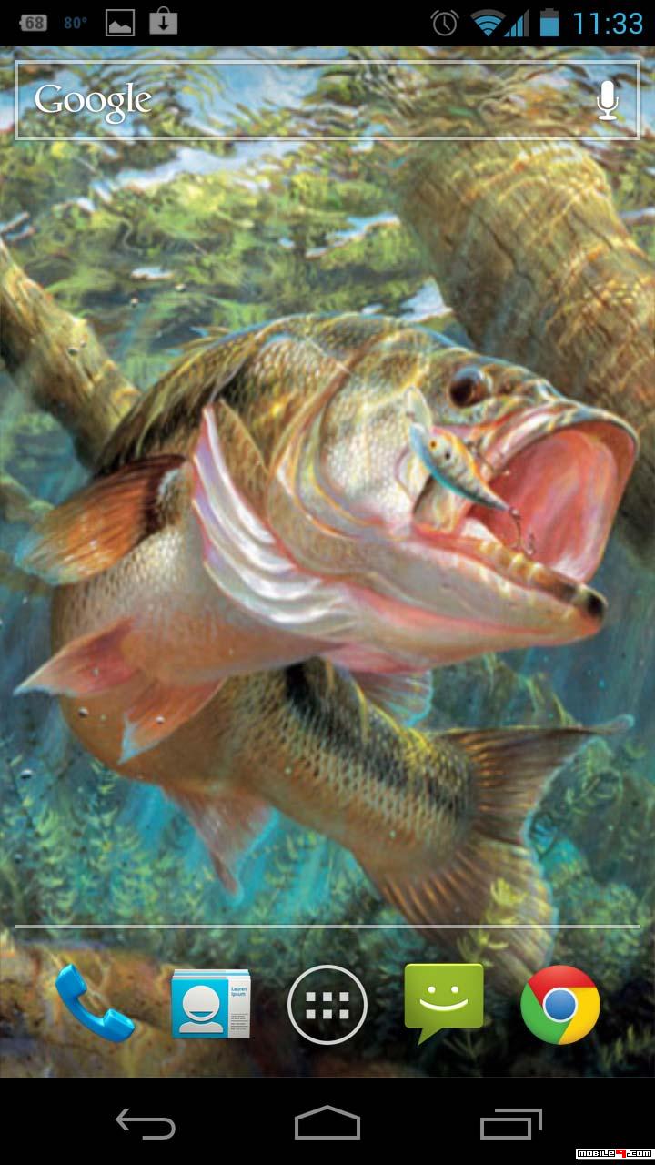 Bass Fish Wallpaper Iphone , HD Wallpaper & Backgrounds