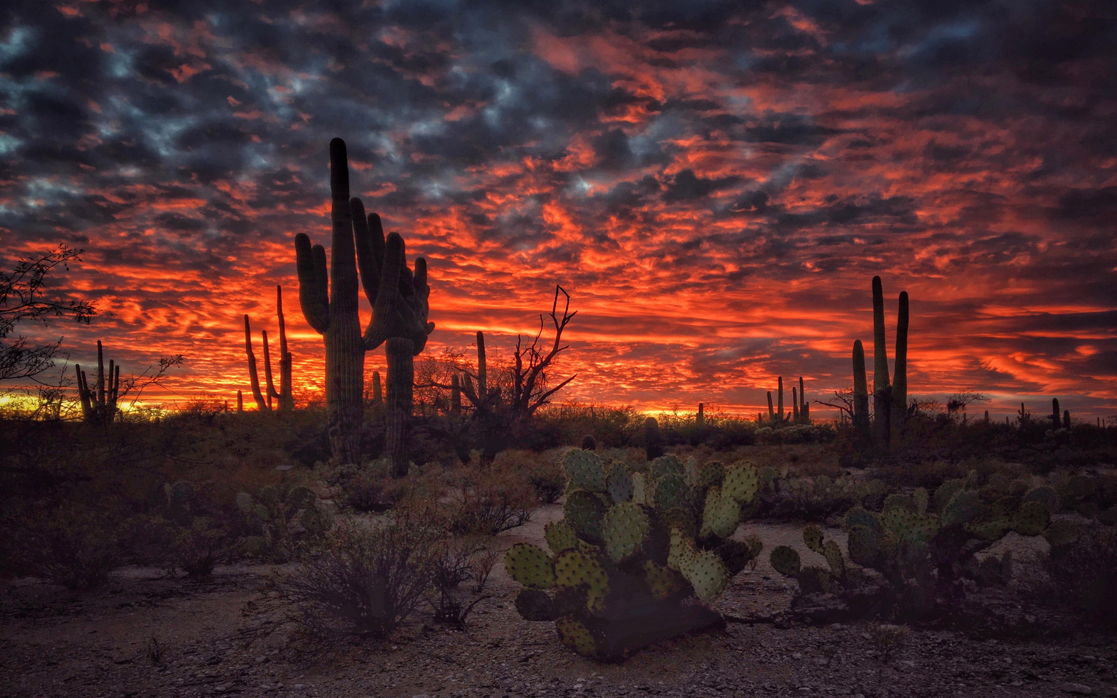 Arizona Sunset Hd , HD Wallpaper & Backgrounds