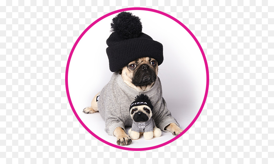Dog Clothes For Pugs Puppies , HD Wallpaper & Backgrounds