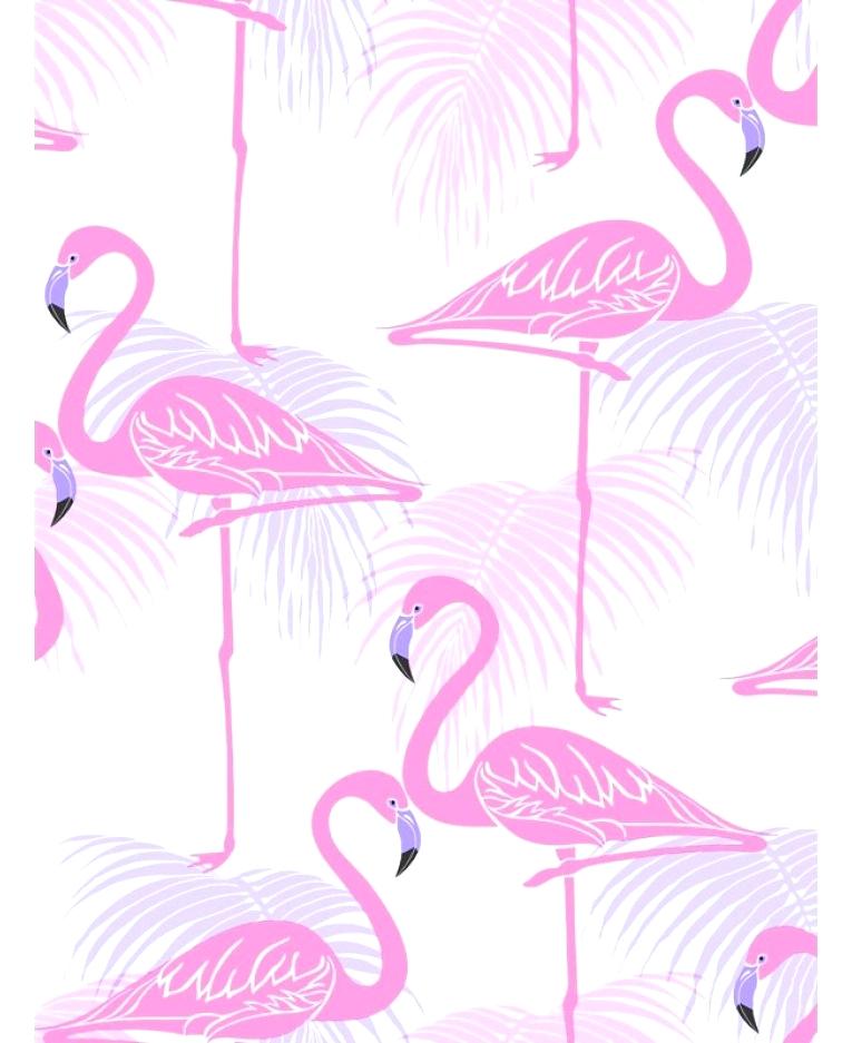 Flamingo Wallpaper Pink , HD Wallpaper & Backgrounds