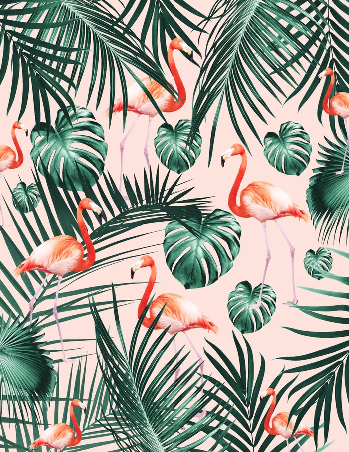 Tropical Flamingo Wallpaper Hd , HD Wallpaper & Backgrounds