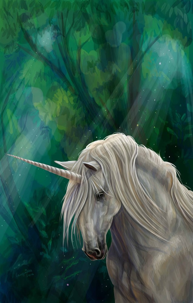 Unicorn , HD Wallpaper & Backgrounds