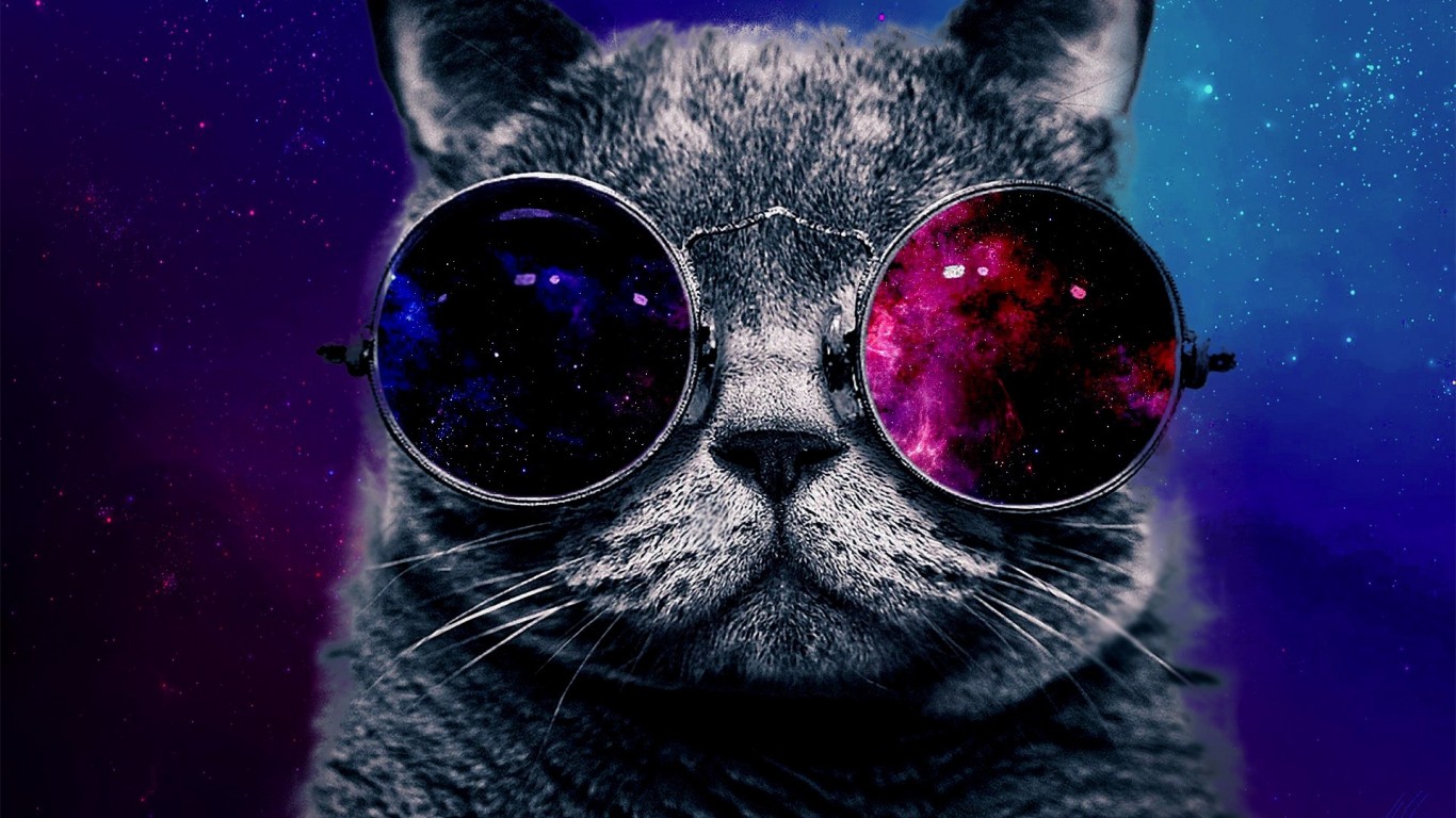 Space Cat , HD Wallpaper & Backgrounds